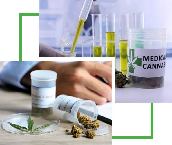 Pak-Alberta Consultants Inc